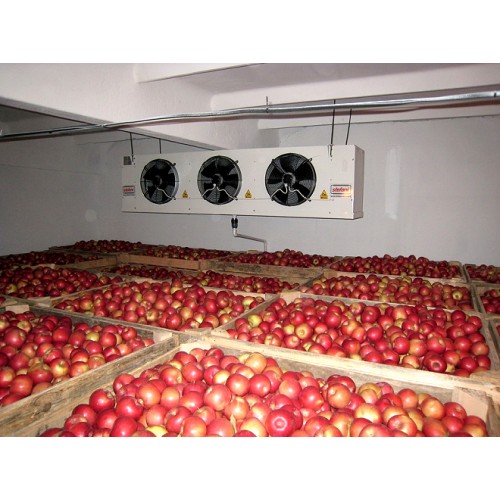 Camere frigorifice legume fructe